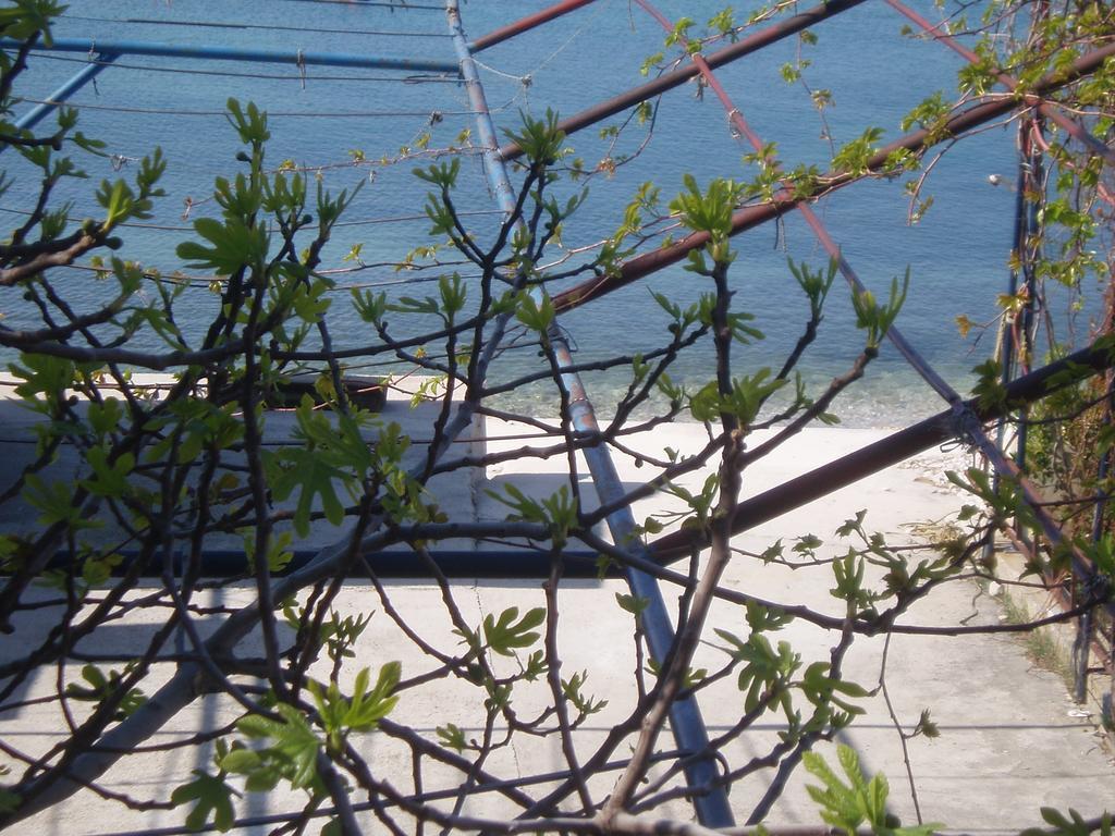 Apartments Karaman Podstrana Rom bilde